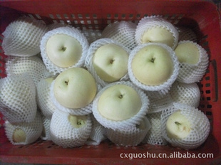 ݲˬڡʹ桢Ѽ桢̱ʯ档