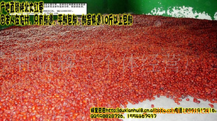 ֱ±Ѱǰӯ