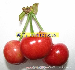 һԤ*̨ӣ缶5ﳵˮʰ