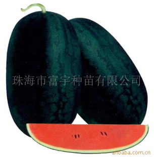 ζɿںÿĴ˹