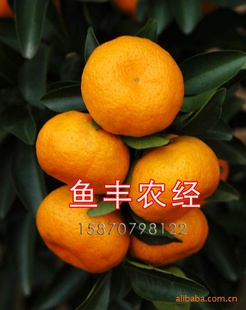 ٳ2012Ϸ۽