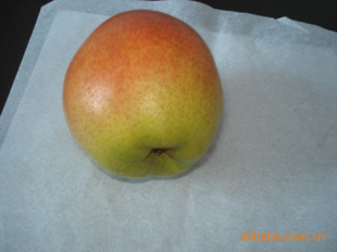 ̡ɿڡֹʺ
