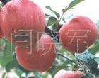 ɽٺ츻ʿ(ͼ)