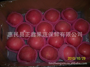 ֽعڣ150--198츻ʿƻƻƻ