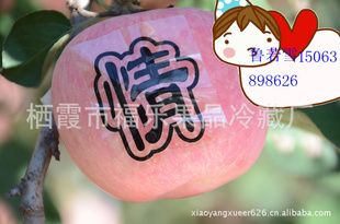 *̨лƻʺ츻ʿŹ
