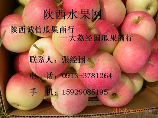 ˮ츻ʿƻĺ츻ʿƻ