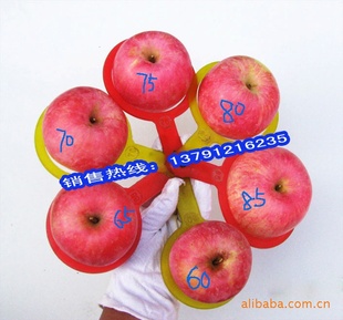 ӣ10װʡʺ츻ʿƻ-ƻ,츻ʿ,ɽƻ75#