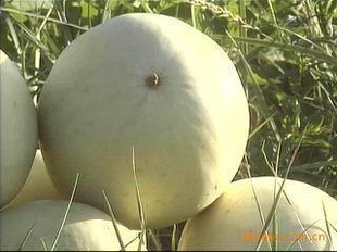 Ķֲش