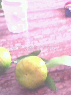 Ļ