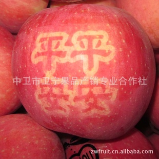 ƻлˮˮƷƽƽƷƷ