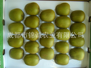 л޹⨺֮