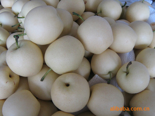 ڼһʹ棬ƻ