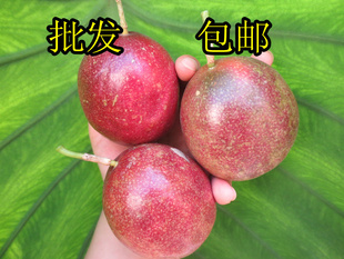 Բл޹10һ