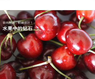 ˮעӣҽڳ320Ԫ/5KG