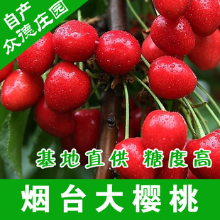 Բ*̨ӣ2013ˮ