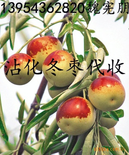 ۴մ涬ֱ