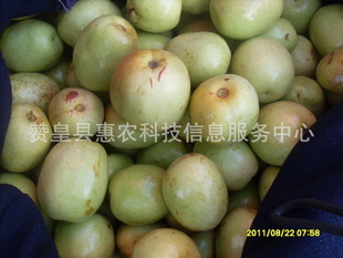 2012޻ʴ棬õͣԴ㣬ӭǢ̸