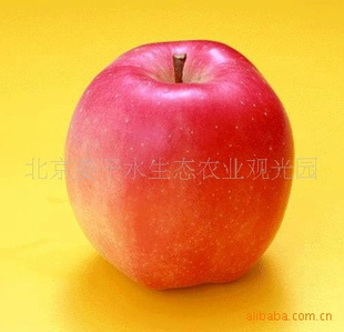 ޹ʺ츻ʿƻ