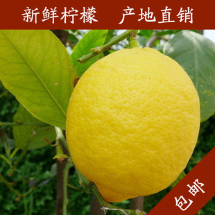 ʻժֱ֮