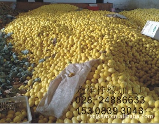 ֱؼ