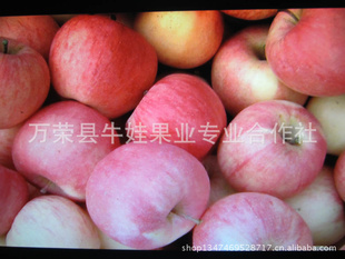 ɽĤ츻ʿƻ