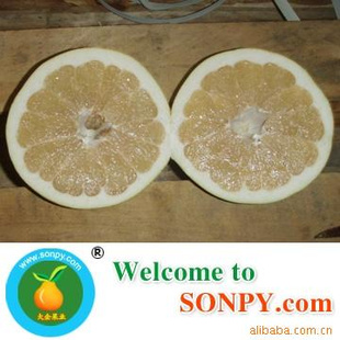 ڼϷˮƽӣPOMELO