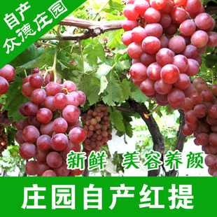 ֱ޹ʺ