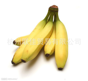ˮ㽶ӭ綩