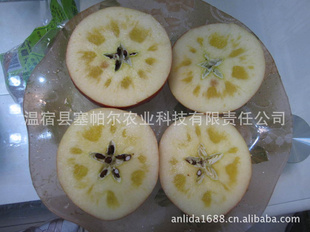 ƻĺ츻ʿ