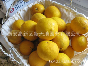 ˮƻʹƷ