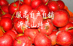 2010ɽ髽Ƣʳ4Ԫ/500