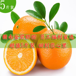 5װԳԶʡʿˮز԰ֱ