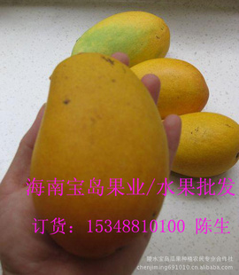 â/̨ũâ/̨ũ/С̨ũâ/ˮâ԰