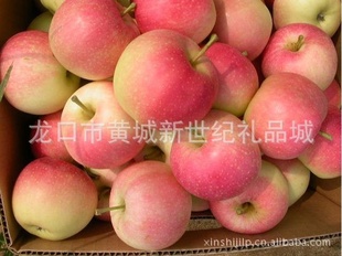 ˮز츻ʿƻ츻ʿƻ