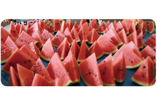 ΫܲΫϹwatermelon