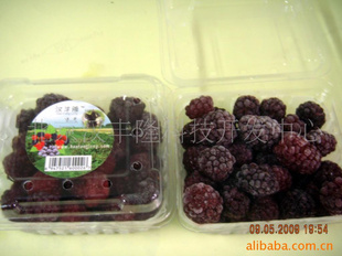 ٶݮݮblackberry