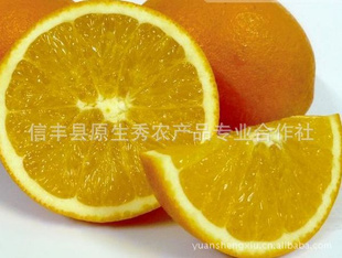 Ź20һ6ʡ