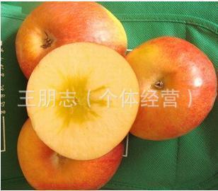 лƻƷװ