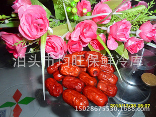 ؼ޺洿޺޹ʳƷڸкζ޺˽˿С