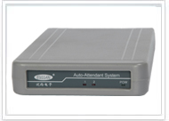ܻݸ˫·ԱEMV2006A