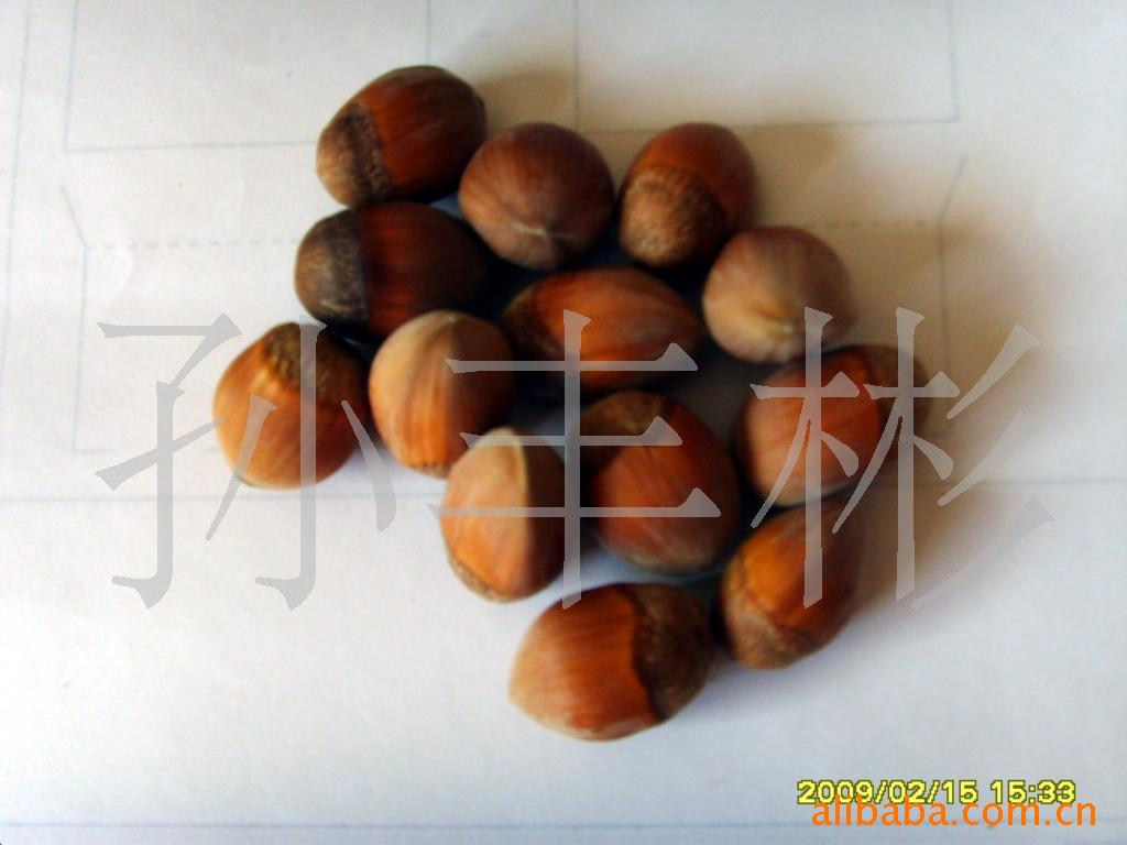 磬磬(ͼ)