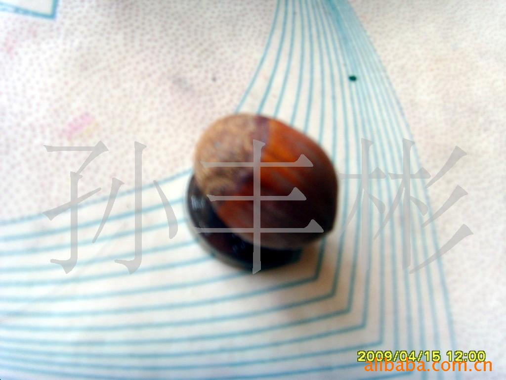 ƽŷӽͺӹ(ͼ)