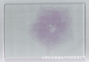 װDS-0031P001