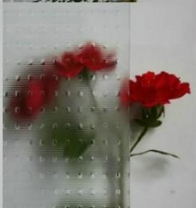 Դ˶޹˾ӹѹ