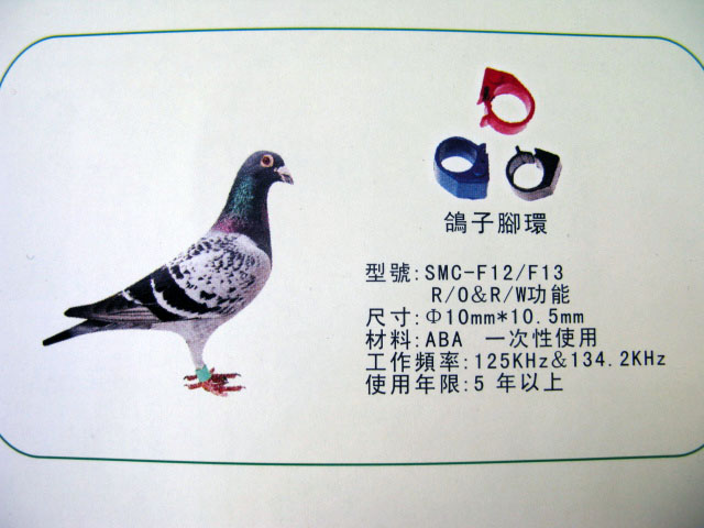 鸽子脚环电子脚环普通刻字脚环