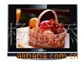 ӿT21SA827
