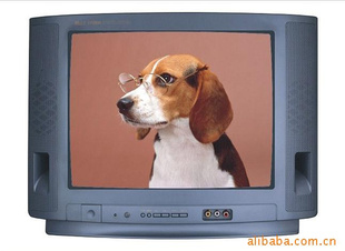 ڲʵӻ141721CRT