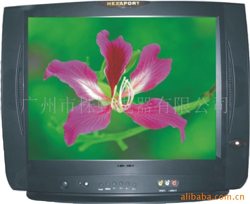 ۵ĸֳߴĳڲʵӻ