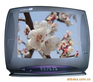 ֱ۸ʵݸCRTTV