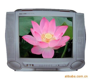 ֱ޷䡢CRTTV